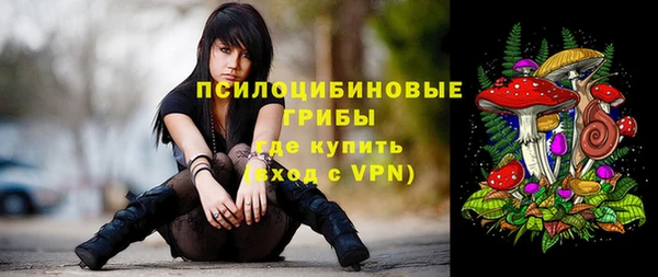 МДПВ Арсеньев