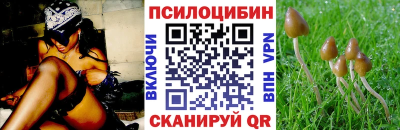 OMG ссылка Сортавала Галлюциногенные грибы прущие грибы магазин